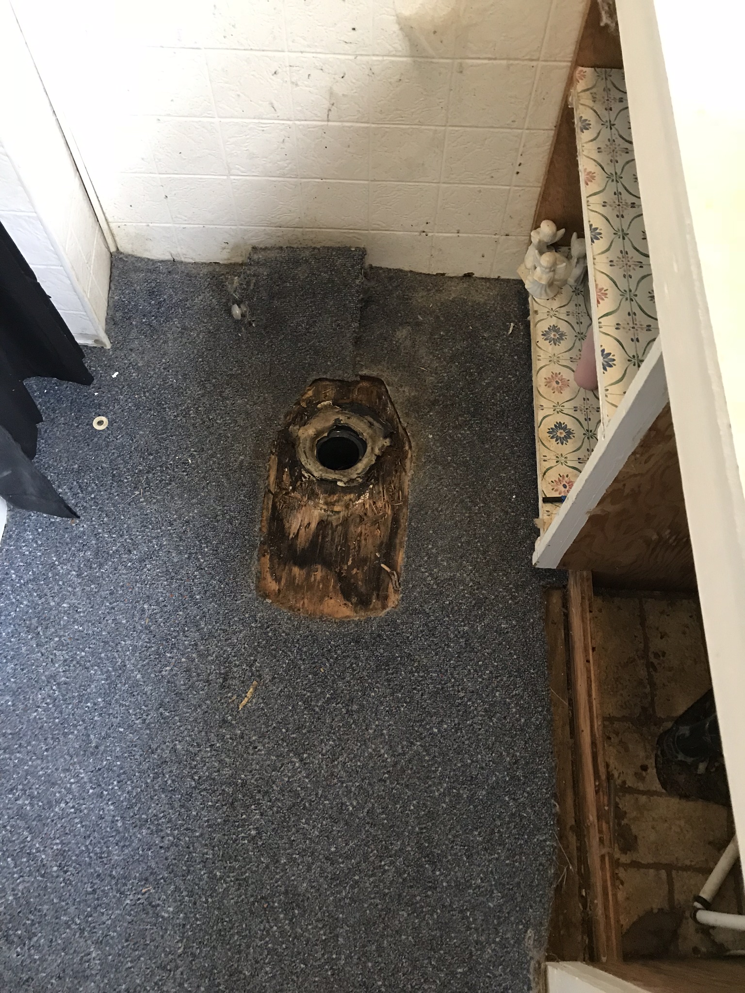 Rotten toilet hole