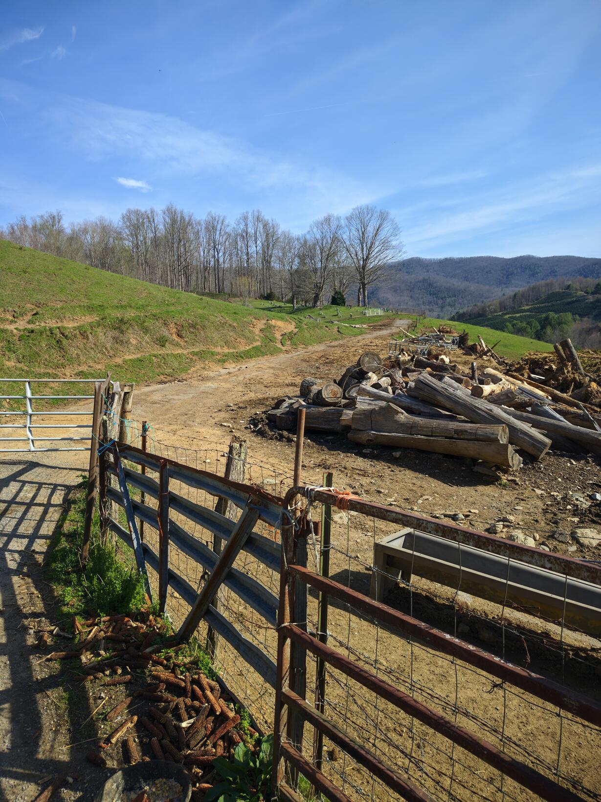 A graveyard up on a hill on the other side of a pasture